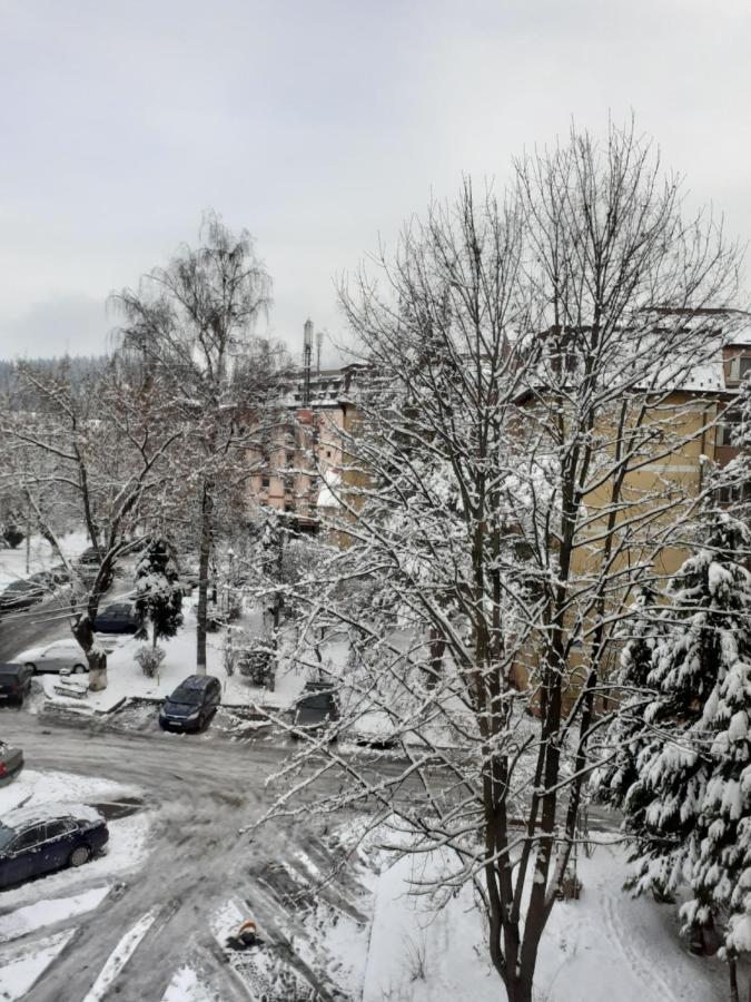 Apartament Ultra Central Marly Gura Humorului Eksteriør bilde